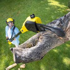 Best Organic Lawn Care Solutions  in Premont, TX