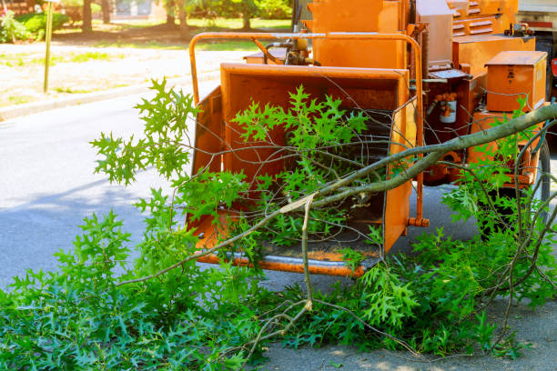 Best Lawn Mowing  in Premont, TX