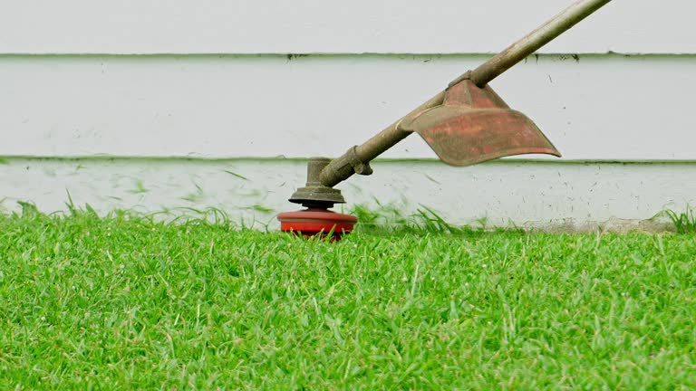 Best Lawn Grading and Leveling  in Premont, TX